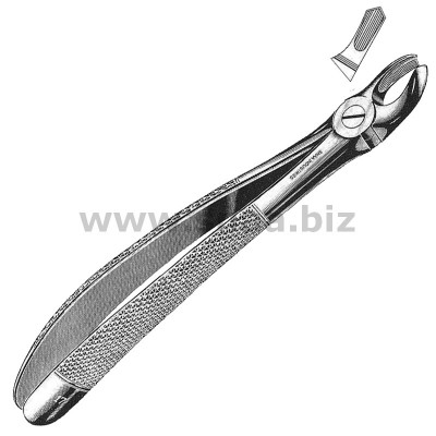 Extracting Forceps English Pattern, Fig. 17