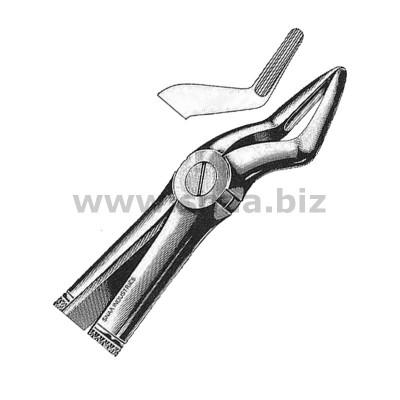 Extracting Forceps English Pattern, Fig. 51