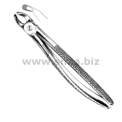 Extracting Forceps Children's Pattern Fig.39