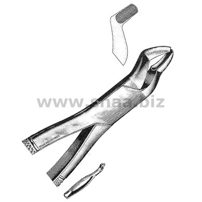 Tooth Extracting Forceps American Pattern fig.10 s