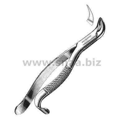 Tooth Extracting Forceps American Pattern fig.16 s