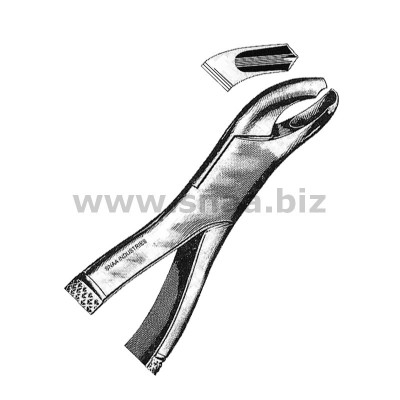 Tooth Extracting Forceps American Pattern fig.18 R