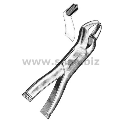 Tooth Extracting Forceps American Pattern fig.53 L