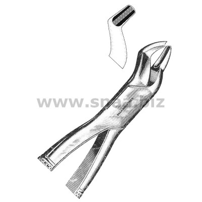 Tooth Extracting Forceps American Pattern fig.53 R