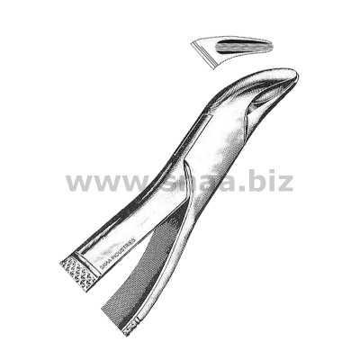 Tooth Extracting Forceps American Pattern fig.62