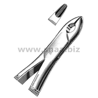 Tooth Extracting Forceps American Pattern fig.99 C