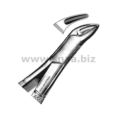 Tooth Extracting Forceps American Pattern fig.150 s