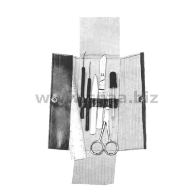 Basic Dissecting Set