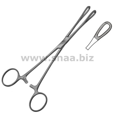 Rampley Sponge Forceps