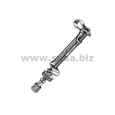 Ivory Matrix Retainer