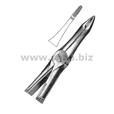 Extracting Forceps English Pattern, Fig. 41