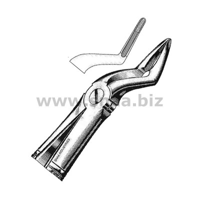 Extracting Forceps English Pattern, Fig. 51 C Extracting Forceps English Pattern, Fig. 51 C