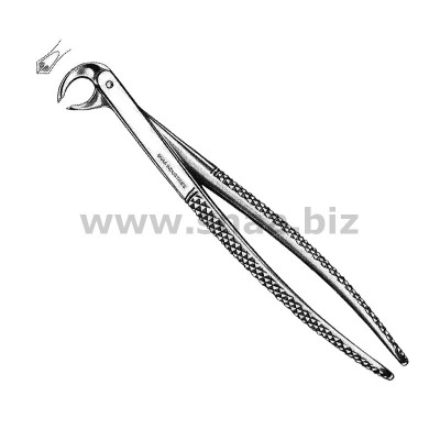 Extracting Forceps Children's Pattern Fig. 161