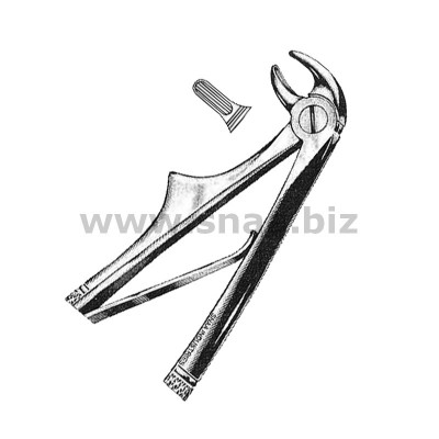 Tooth Extracting Forceps for Children Fig.5