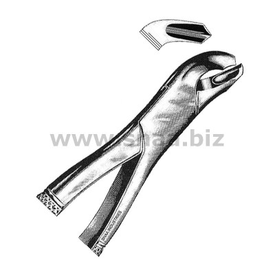 Tooth Extracting Forceps American Pattern fig.17