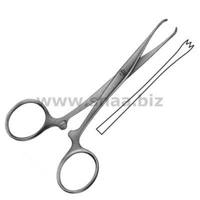 Chaput Intestinal Forceps