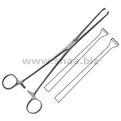 Allis Intestinal Forceps, 4x5 Teeth