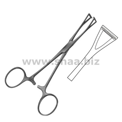 Collin Intestinal Forceps
