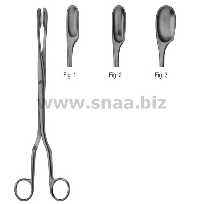 Winter Placenta Forceps, Straight