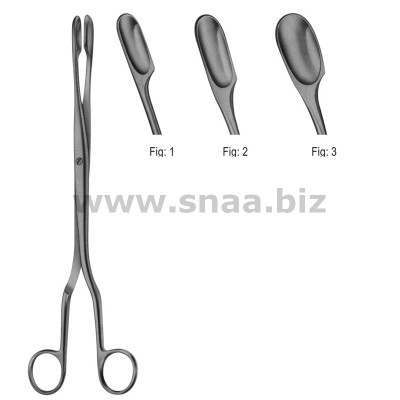 Winter Placenta Forceps, Curved